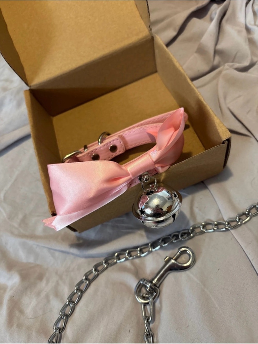 Adult Collar & Chain Leash